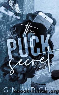 The Puck Secret (Fairfield U Book 1) by G.N. Wright