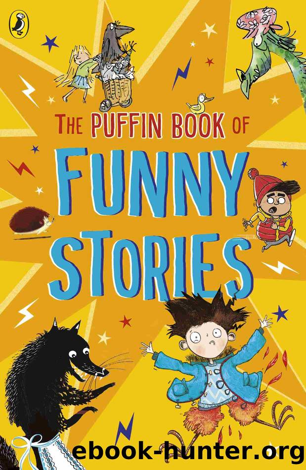 The Puffin Book of Funny Stories by The Puffin Book of Funny Stories (epub)