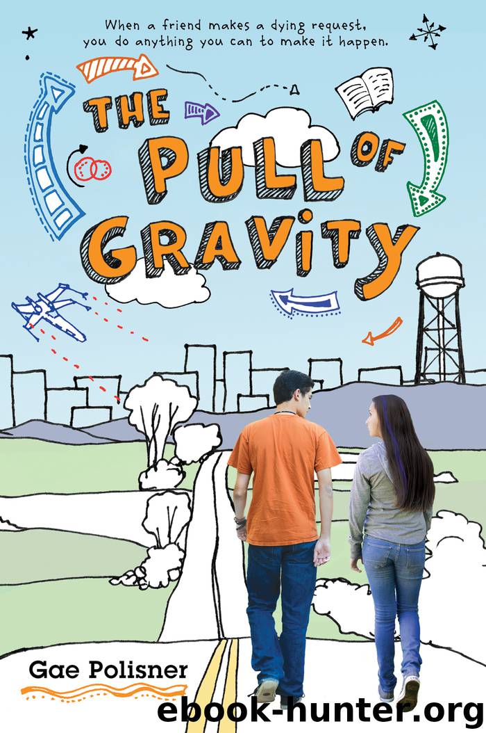 The Pull of Gravity by Gae Polisner