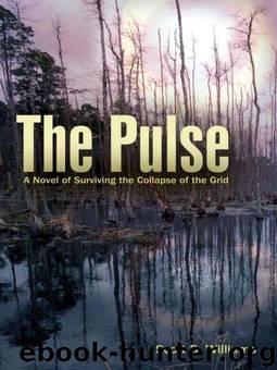 The Pulse by Scott B. Williams