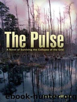 The Pulse: A Novel of Surviving the Collapse of the Grid by Williams Scott B