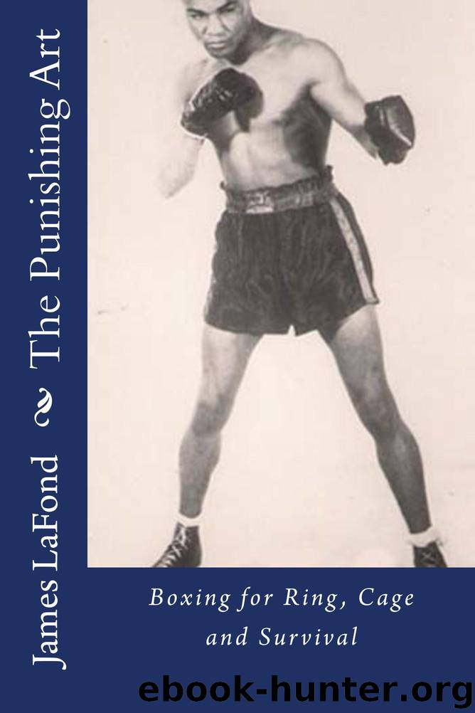 The Punishing Art by James LaFond