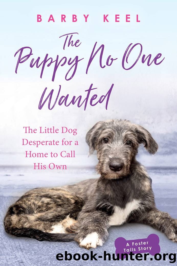 The Puppy No One Wanted by Barby Keel