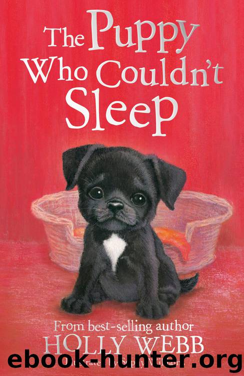 The Puppy Who Couldn't Sleep by Holly Webb