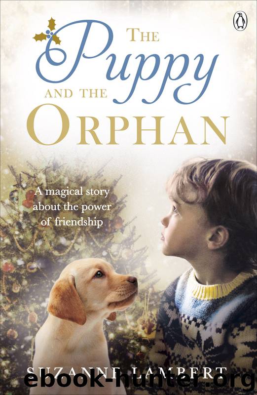 The Puppy and the Orphan by Suzanne Lambert