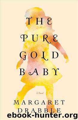 The Pure Gold Baby by Margaret Drabble