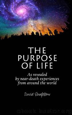 The Purpose of Life as Revealed by Near-Death Experiences From Around the World by David Sunfellow