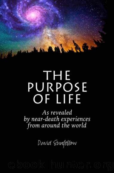 The Purpose of Life: As Revealed by Near-Death Experiences From Around the World by David Sunfellow