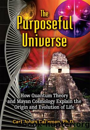 The Purposeful Universe by Carl Johan Calleman