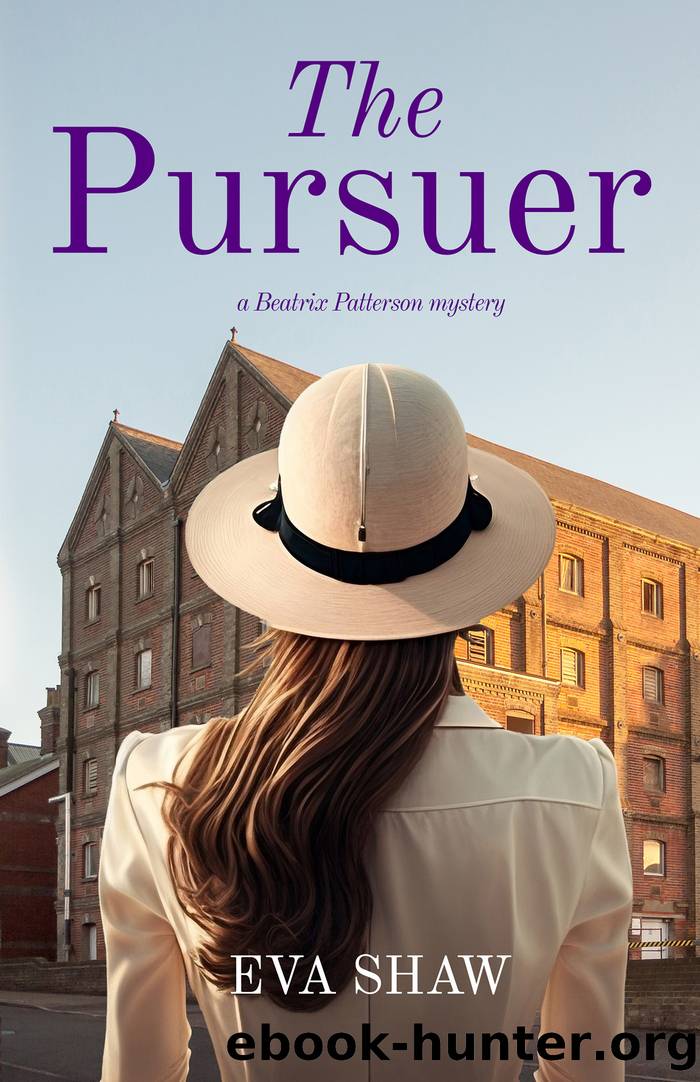 The Pursuer by Eva Shaw