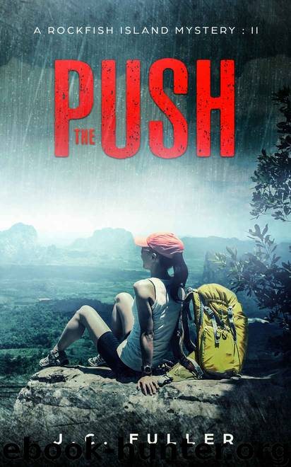 The Push by J C Fuller