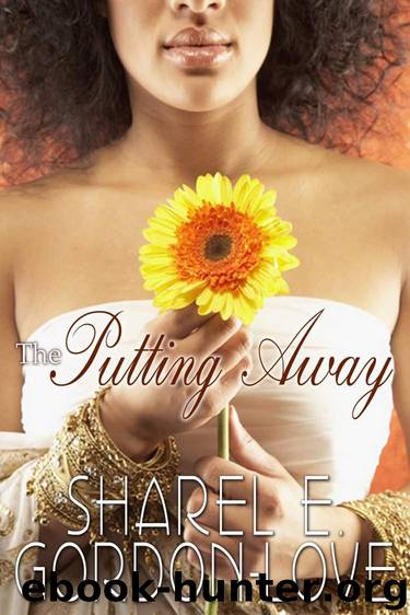 The Putting Away (Peace In The Storm Publishing Presents) by Sharel E. Gordon-Love