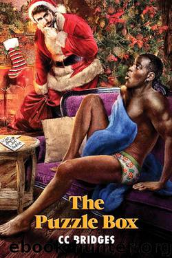 The Puzzle Box by CC Bridges