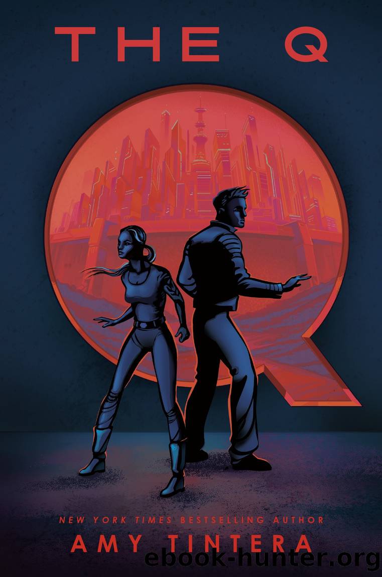 The Q by Amy Tintera