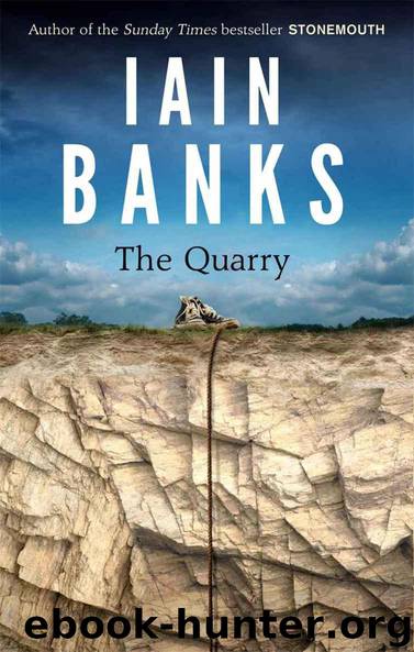 The Quarry by Banks Iain