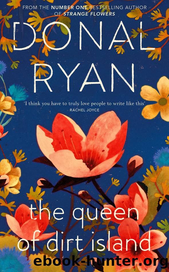 The Queen of Dirt Island by Donal Ryan