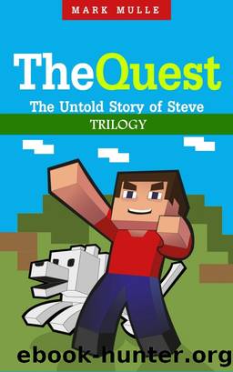 The Quest by Mark Mulle