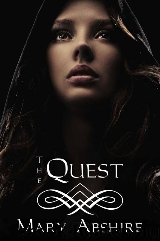 The Quest by Mary Abshire
