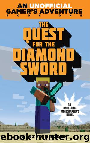 The Quest for the Diamond Sword by Winter Morgan