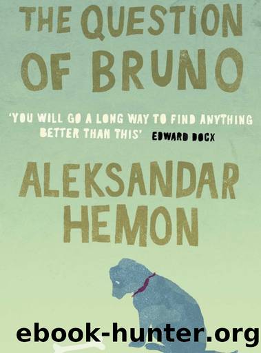 The Question of Bruno: Stories by Aleksandar Hemon