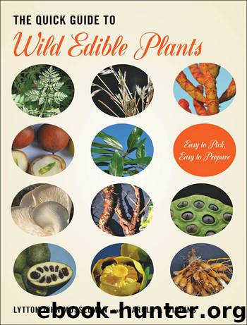 The Quick Guide to Wild Edible Plants by Lytton John Musselman