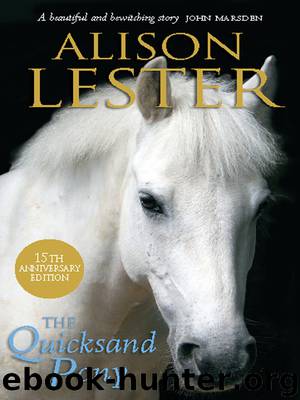 The Quicksand Pony by Alison Lester