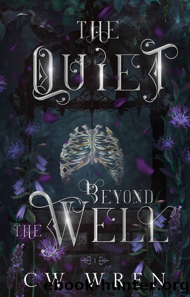 The Quiet Beyond the Well: Keeper of RÃ©altaÃ­ #1 by CW Wren