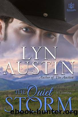 The Quiet Storm by Lyn Austin