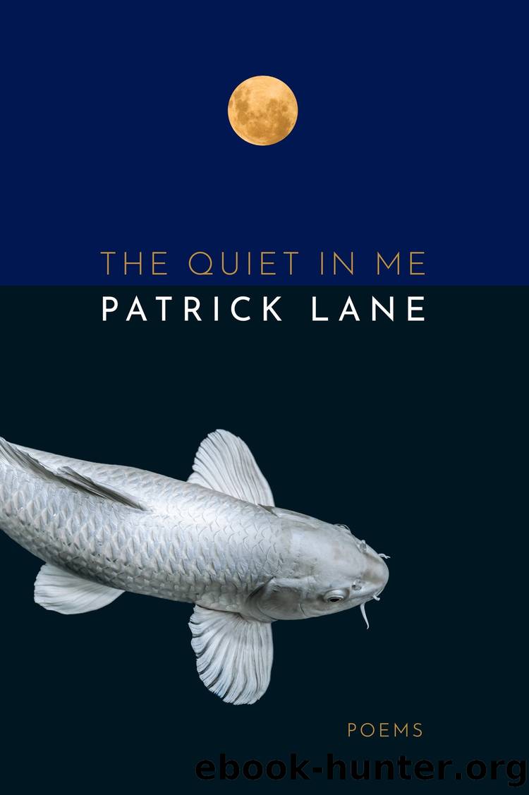 The Quiet in Me by Patrick Lane