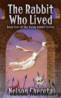 The Rabbit Who Lived by Nelson Chereta