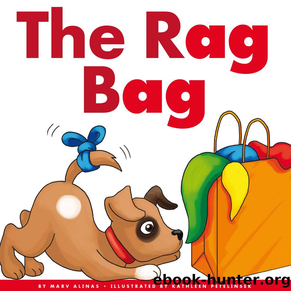 The Rag Bag by Marv Alinas