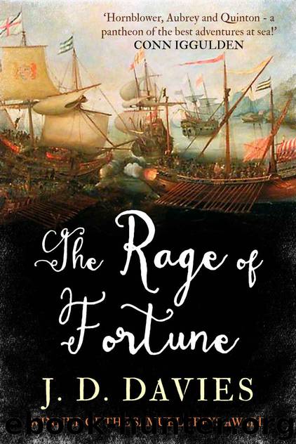 The Rage of Fortune by J D Davies