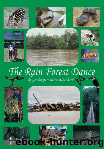 The Rain Forest Dance by Sandra Fernandez-Achenbach
