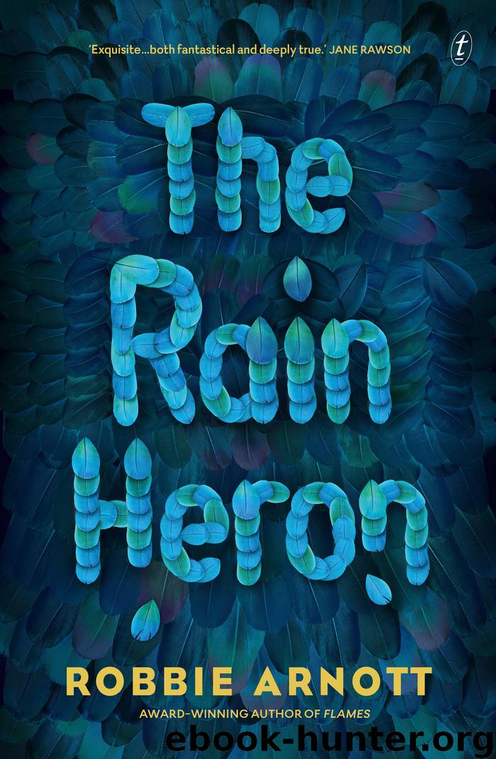 The Rain Heron by Robbie Arnott