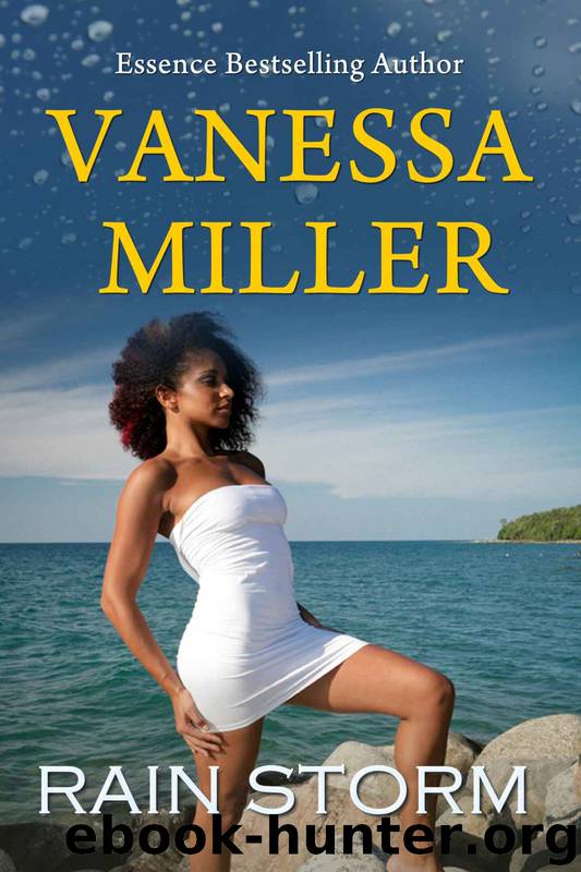 The Rain Series 4: Rain Storm by Vanessa Miller