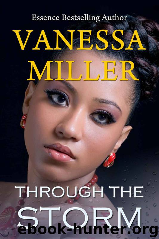 The Rain Series 5: Through the Storm by Vanessa Miller
