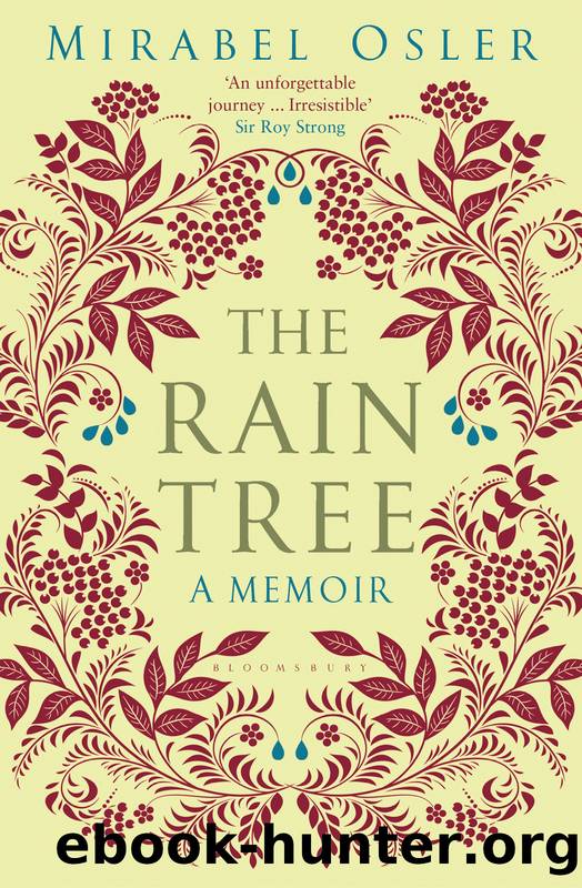 The Rain Tree by Mirabel Osler