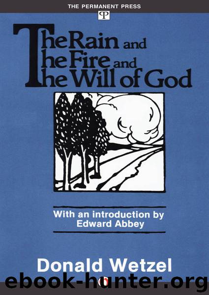 The Rain and the Fire and the Will of God by Donald Wetzel