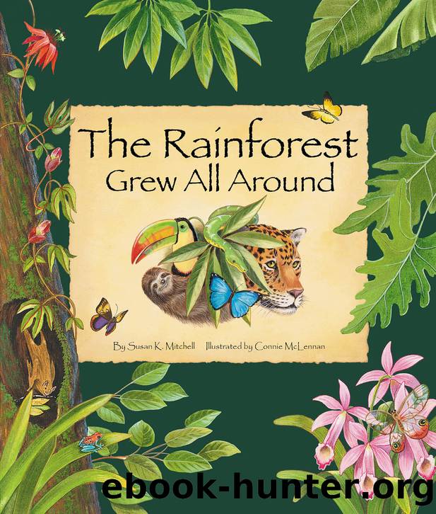The Rainforest Grew All Around by Susan K. Mitchell/Connie McLennan