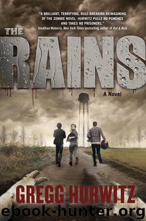 The Rains by Gregg Hurwitz