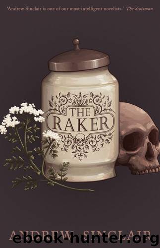 The Raker by Andrew Sinclair