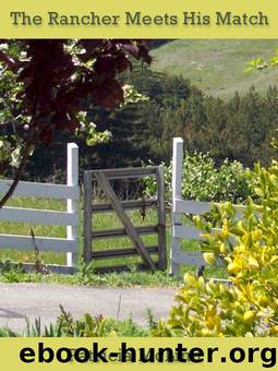 The Rancher Meets His Match by Patricia McLinn