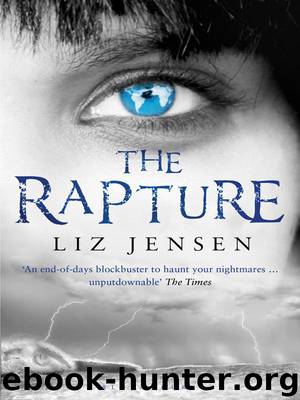 The Rapture by Liz Jensen