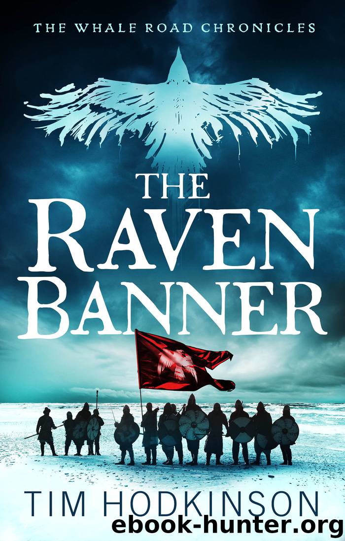 The Raven Banner by Tim Hodkinson