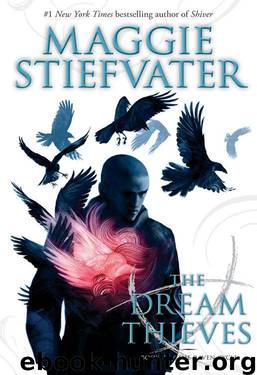 The Raven Cycle #2: The Dream Thieves by Stiefvater Maggie
