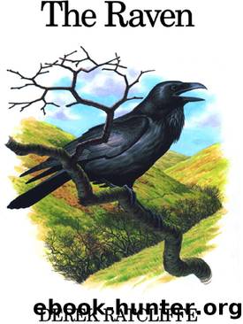 The Raven by Ratcliffe Derek;Rose Chris;