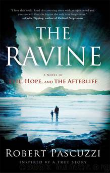 The Ravine by Robert Pascuzzi