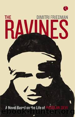 The Ravines by Dimitri Friedman