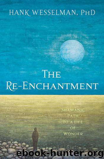 The Re-Enchantment by Hank Wesselman