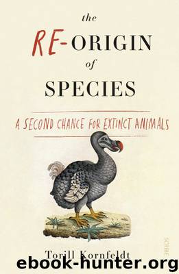 The Re-Origin of Species by Torill Kornfeldt